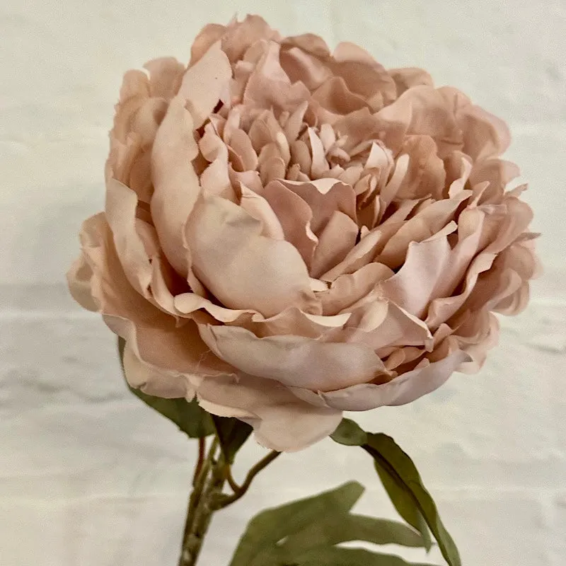 Dusty Pink Peony Spray