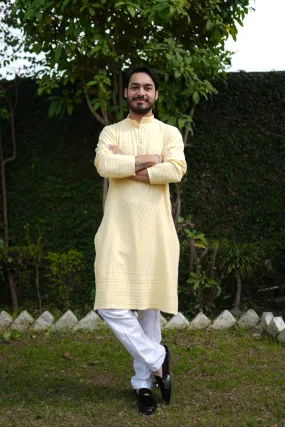 Festive Lemon Sequined Kurta