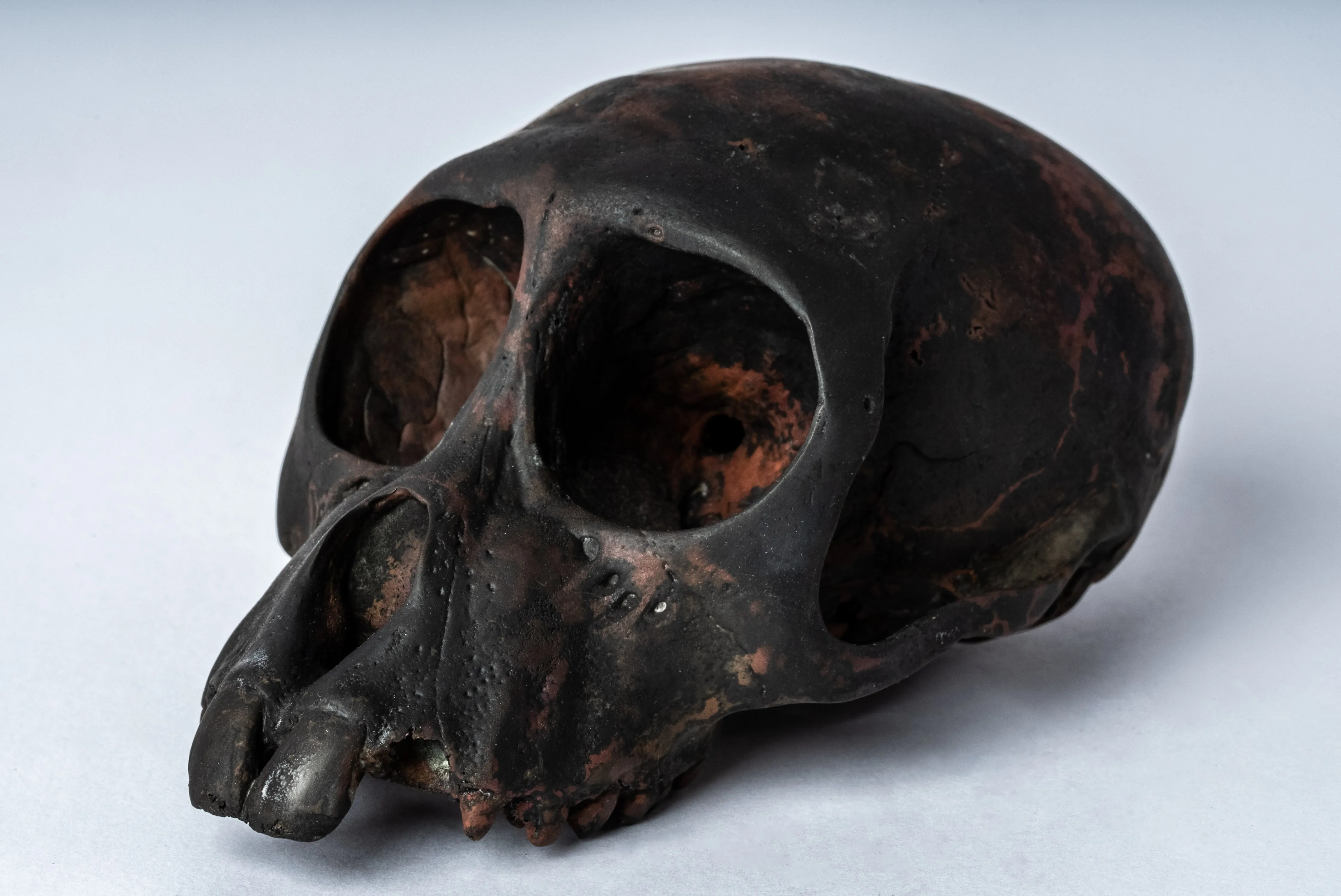 Monkey Skull (Jawless, DR)