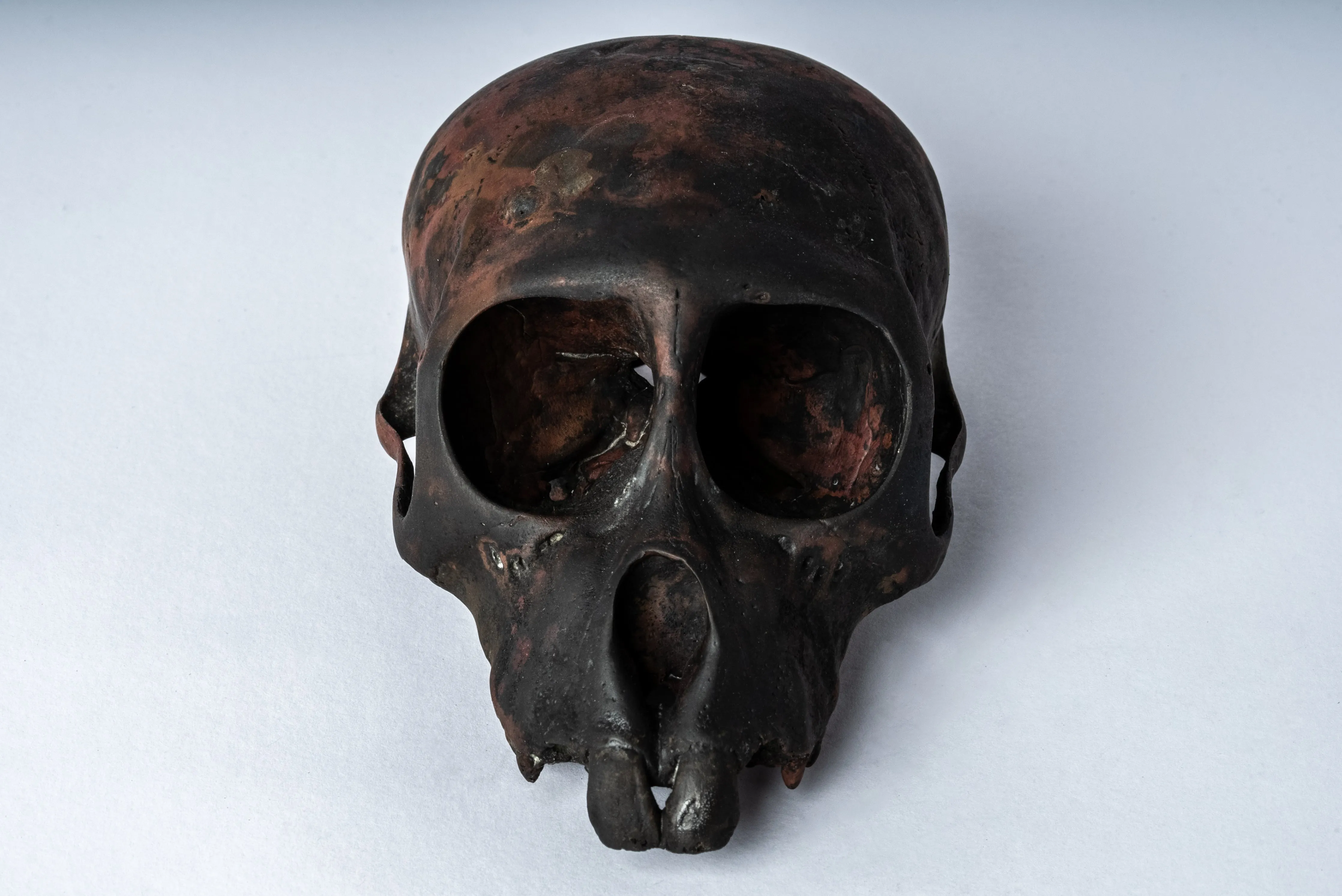 Monkey Skull (Jawless, DR)