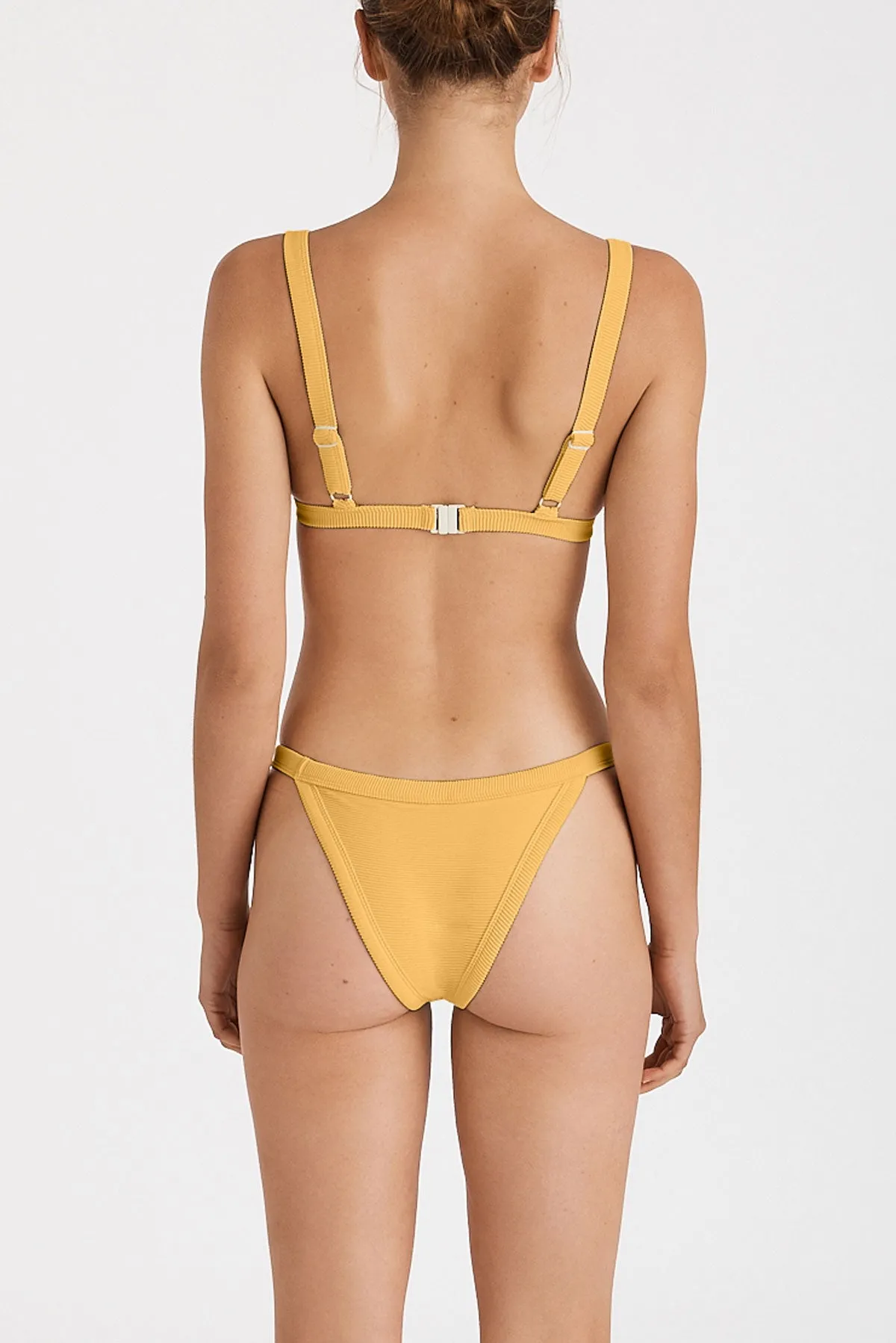 Signature Harness Brief - Mango